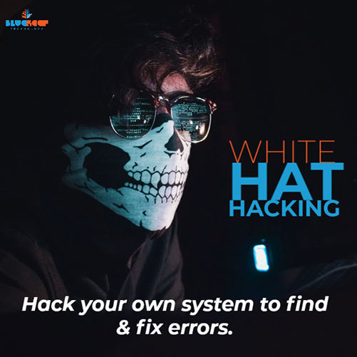 White Hat Hacking can help you find weak points in your cyber defenses, and plug them.